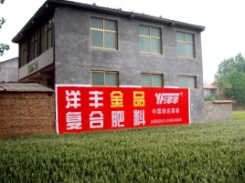 红河如何让墙体广告展现最大化效果