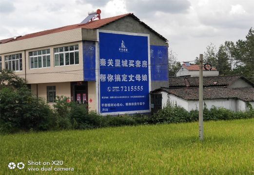 红河决定墙体广告价格的因素有哪些？